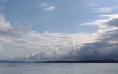 Business Mentor Case Study: Marketing Consultancy Start-Up