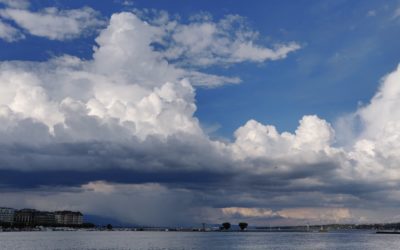 Choosing between a Business Mentor, a Coach or a Consultant – Advice for Start-Ups