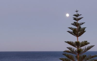 Measuring your Business Mentor Return on Investment