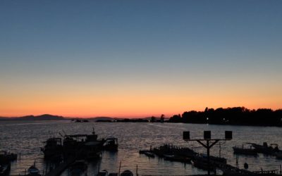 3 Critical Success Factors for Business