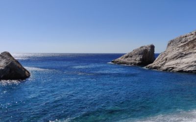 How a Business Mentor can help cash flow