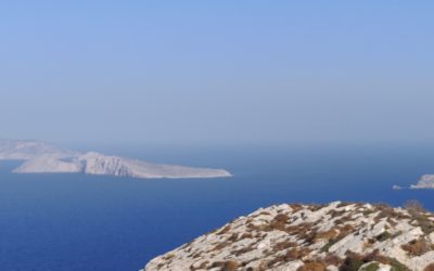 What Can Start-Ups and Small Businesses Learn from Billionaires?