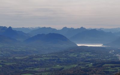 Business Decision Making for Entrepreneurs