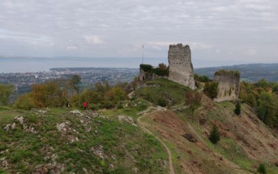 Insider’s Guide to Business Mentors