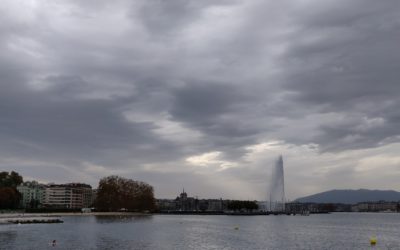 How to be a Great Business Mentee