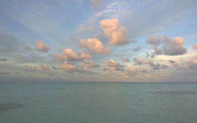 How to Diversify Your Small Business