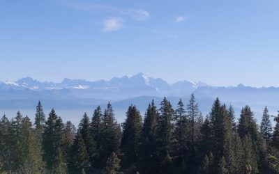 3 Business Lessons I wish I could tell 30-year-old Me